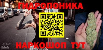 прущие крисы Кунгур