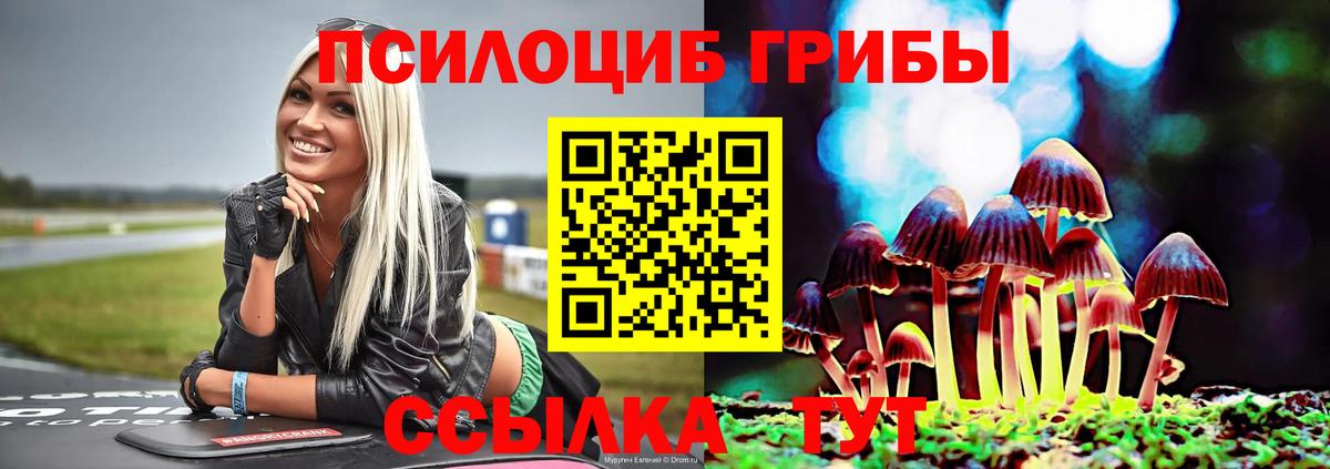 Галлюциногенные грибы Magic Shrooms  Псилоцибиновые грибы мицелий  Вход с VPN  Донецк 
