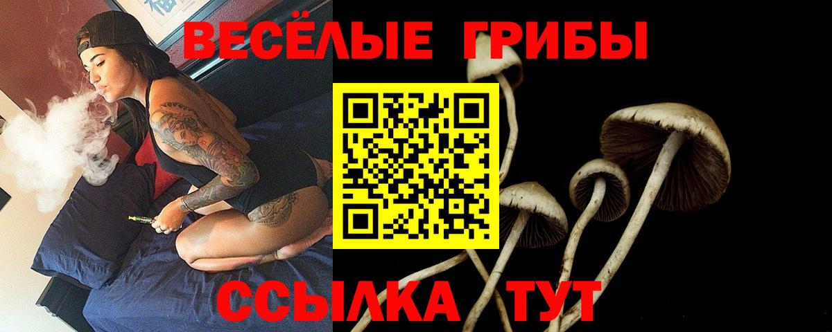 Псилоцибиновые грибы MAGIC MUSHROOMS Донецк